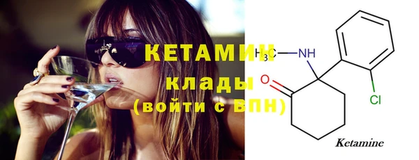 прущие грибы Новодвинск