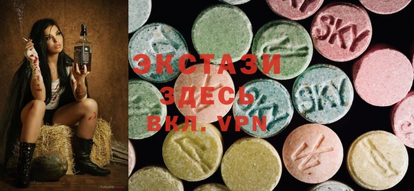 прущие грибы Новодвинск
