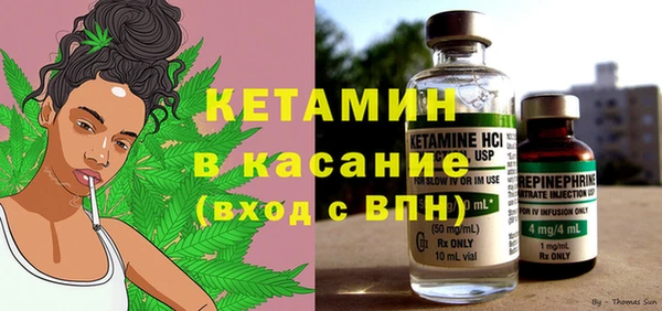 прущие грибы Новодвинск