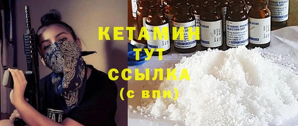 прущие грибы Новодвинск