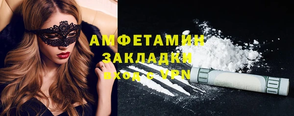 прущие грибы Новодвинск