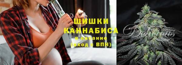 прущие грибы Новодвинск