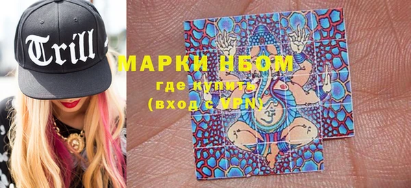 прущие грибы Новодвинск