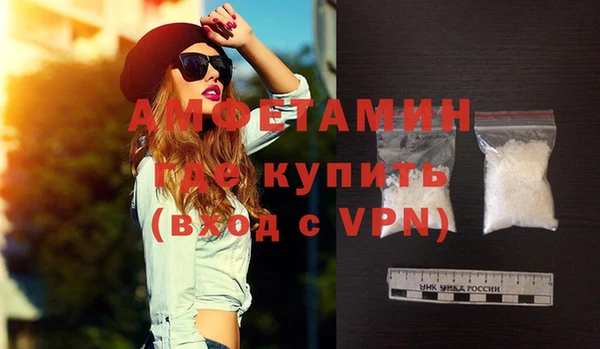 прущие грибы Новодвинск